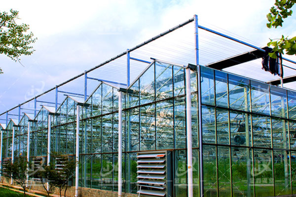 Key points for selecting the frame of multi-span greenhouse1